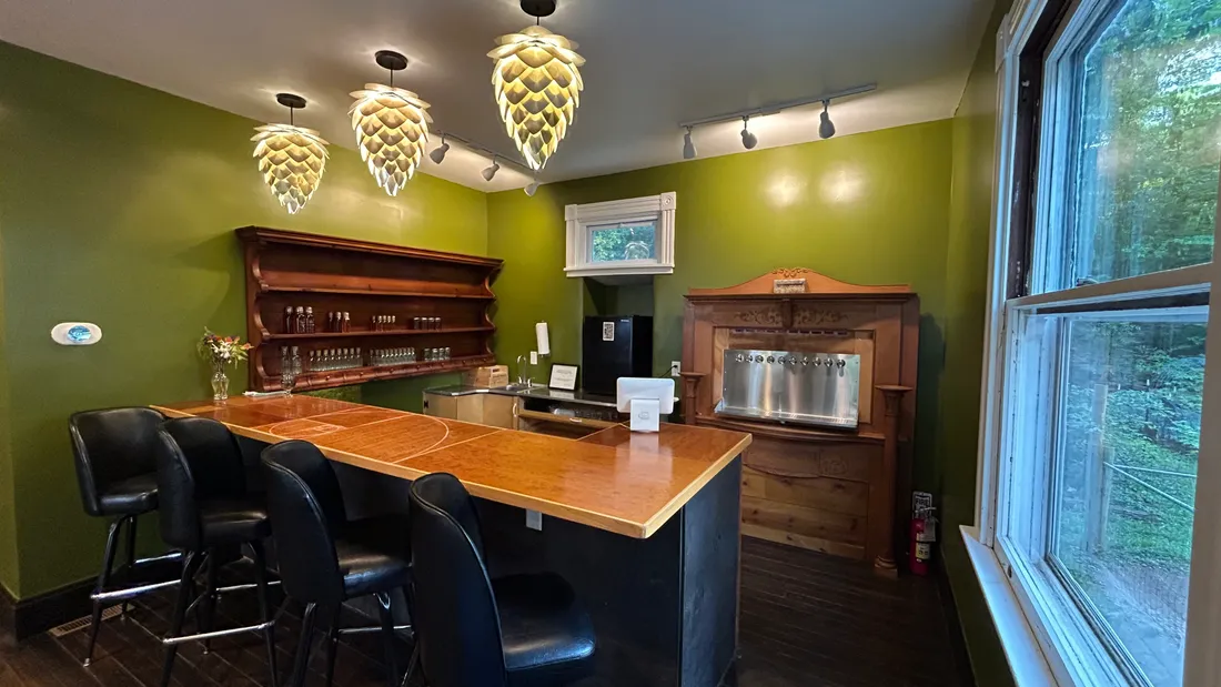 The tap wall under hop-cone pendant lights